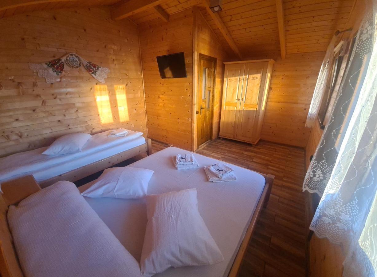 Pensiunea Anisoara Chiscau Luaran gambar